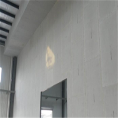 井研宁波ALC板|EPS加气板隔墙与混凝土整浇联接的实验研讨